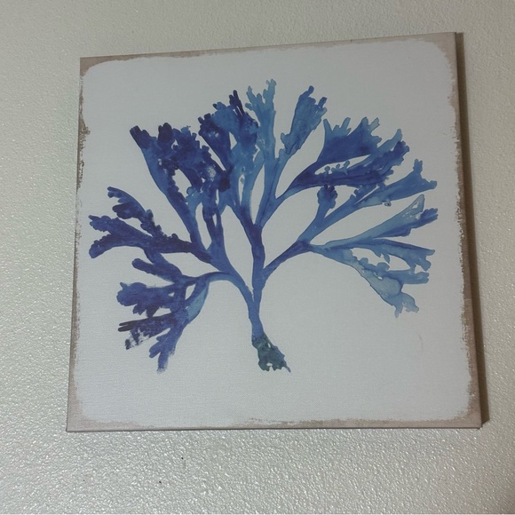 Set of Two Botanical Art Prints - Picture 11 of 15